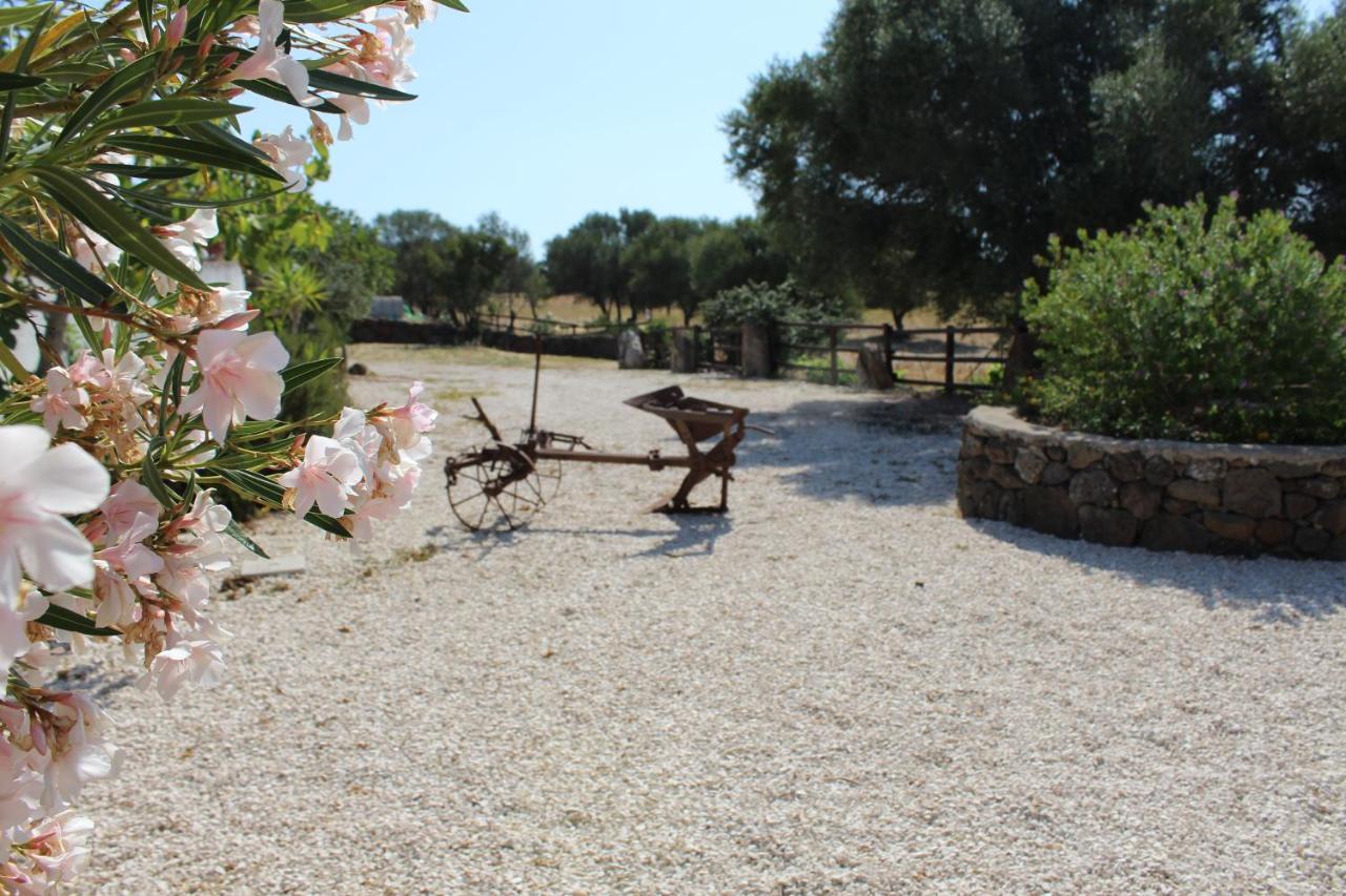 Agriturismo Pira Pinta Bed and Breakfast Dorgali Exterior foto